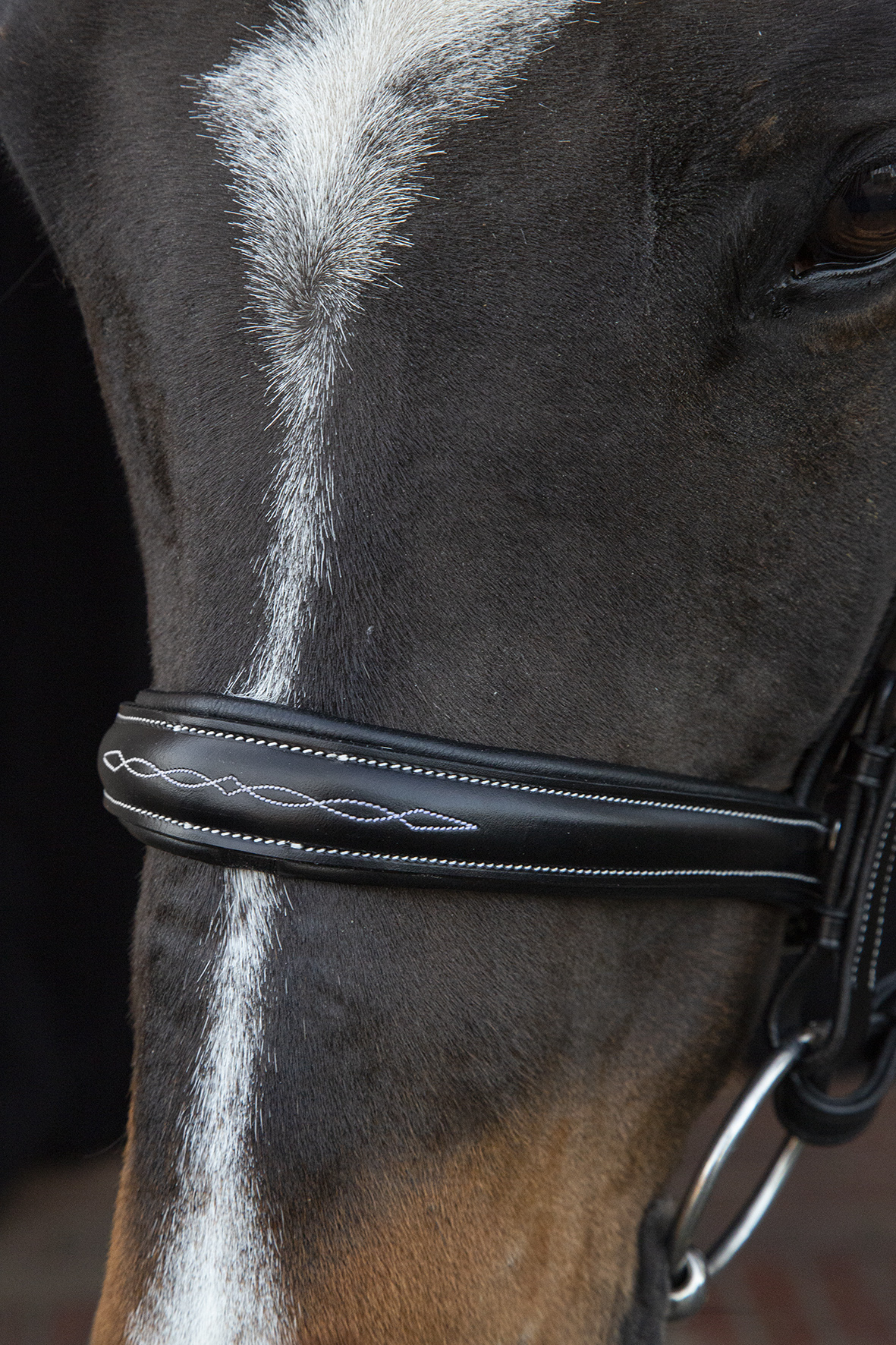 Bridle SP Monza F