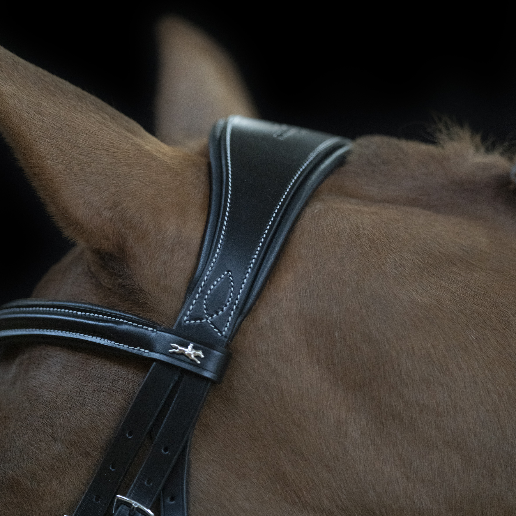 Bridle SP Monza F