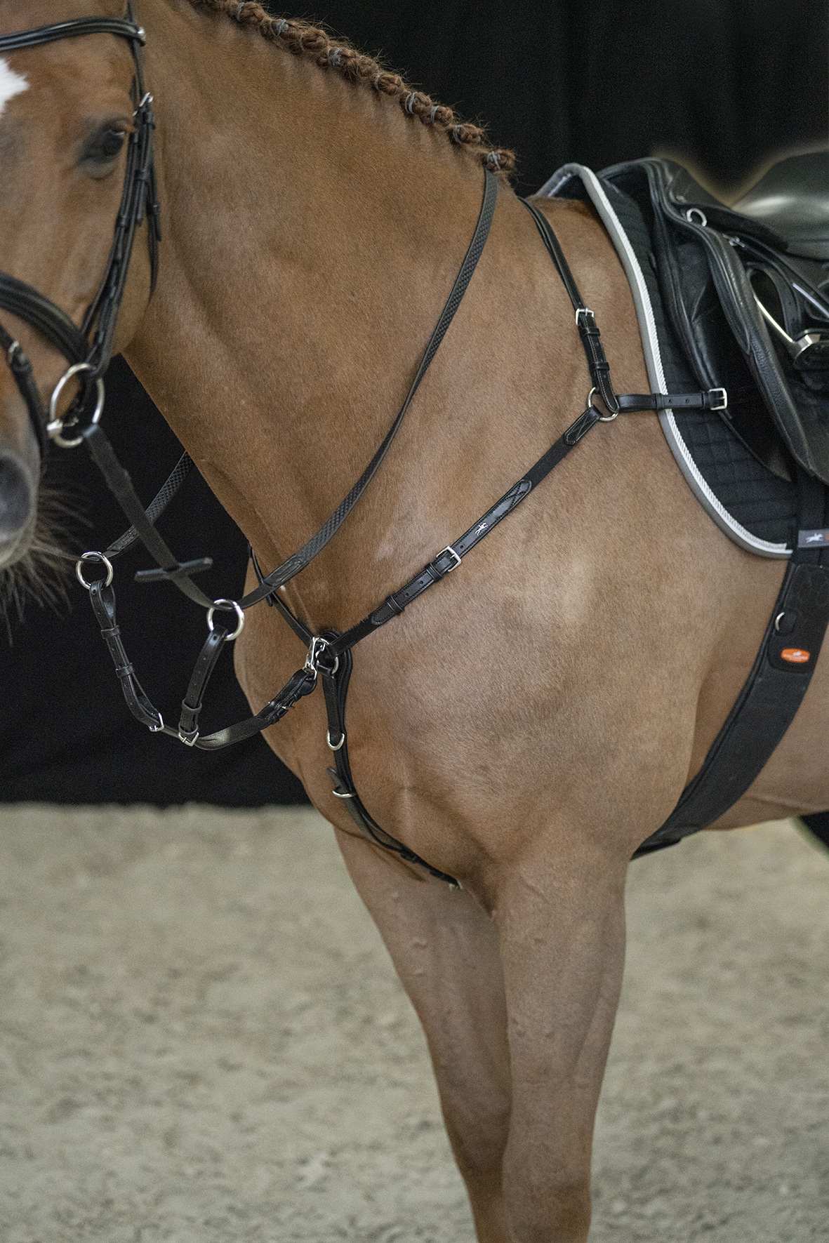 Breastplate SP Como