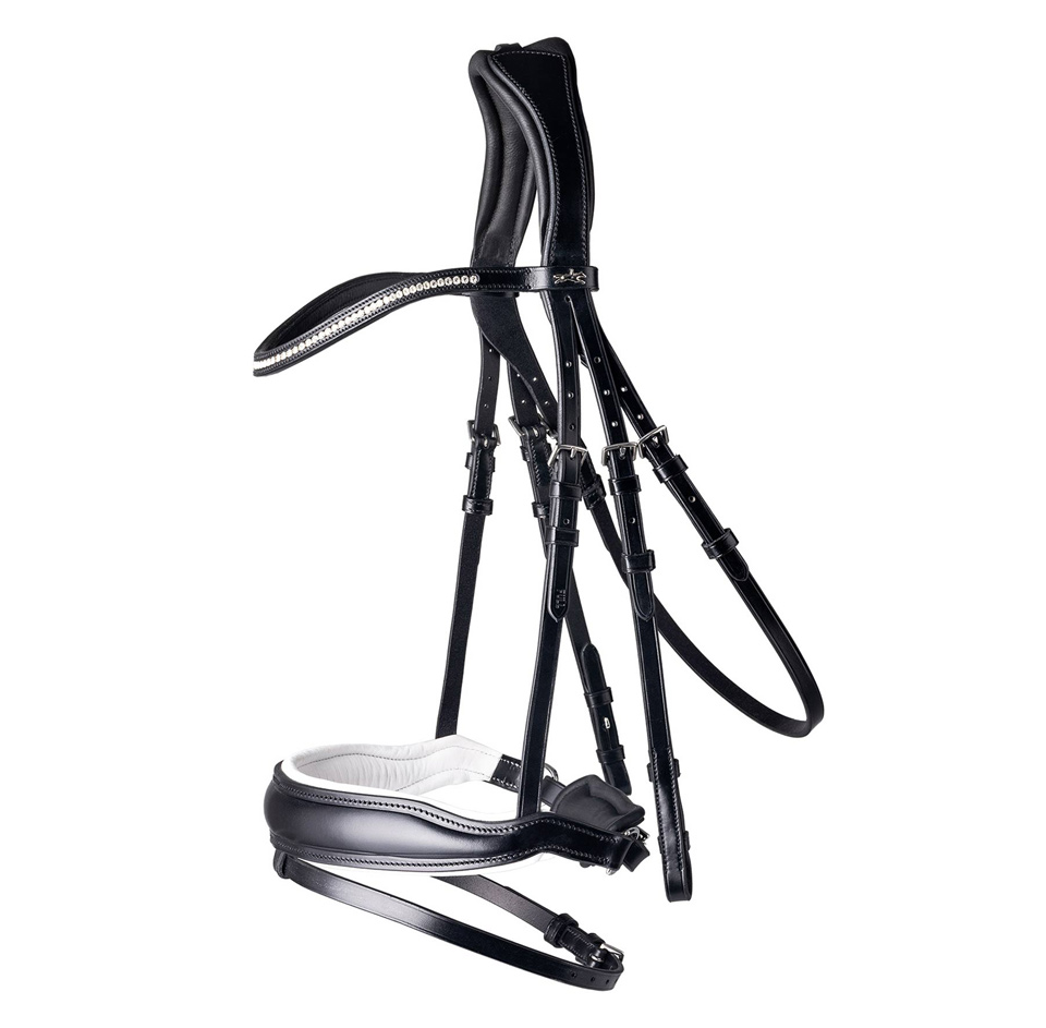 Bridle Stanford