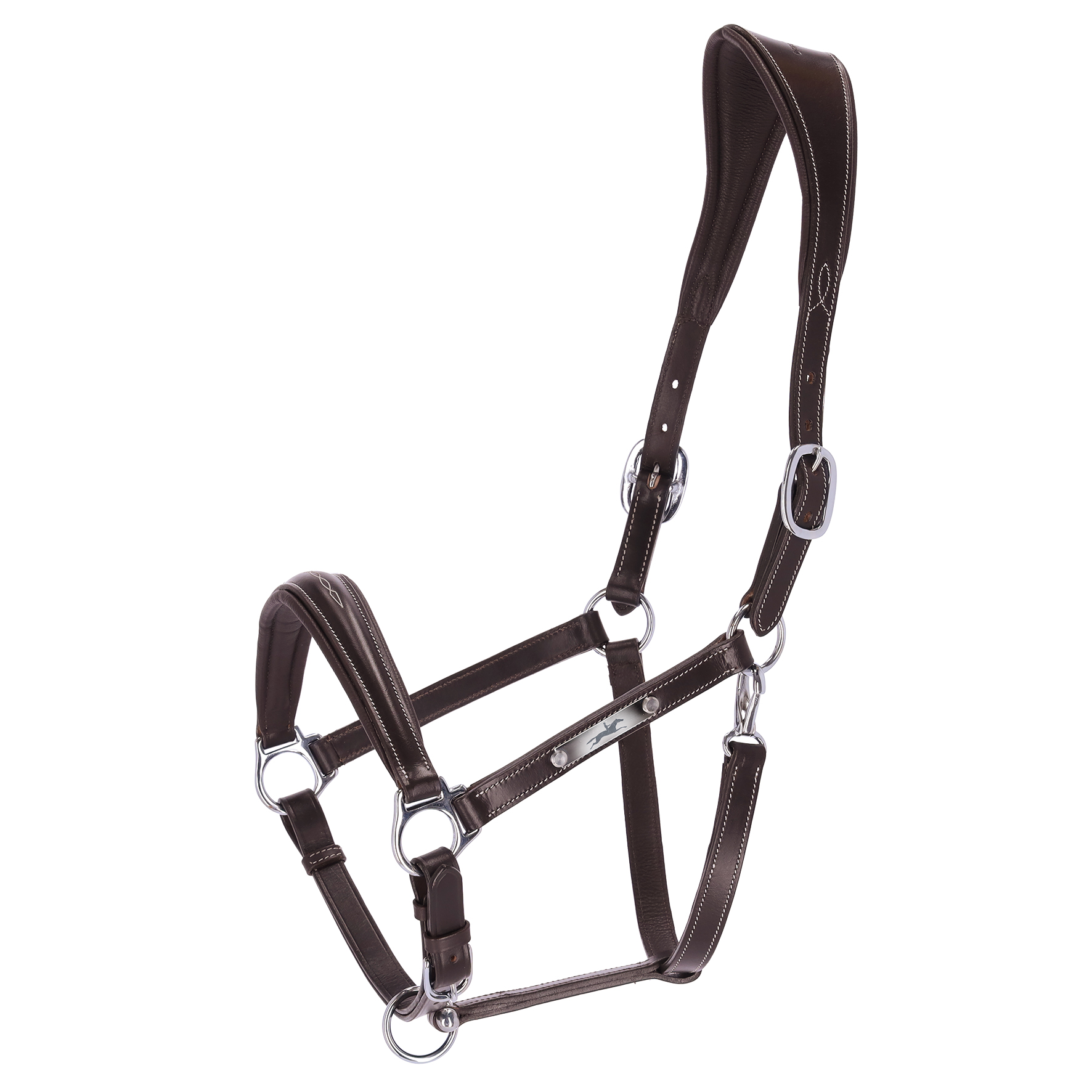 Halter SP Frisco F