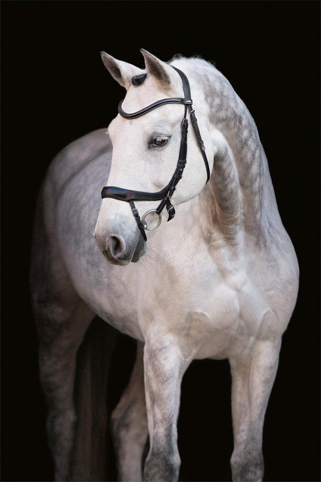 Trense SP Equitus Alpha