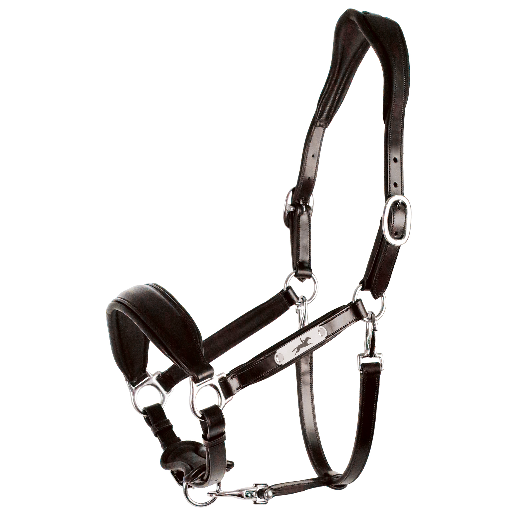 Halter SP Fremont Pro