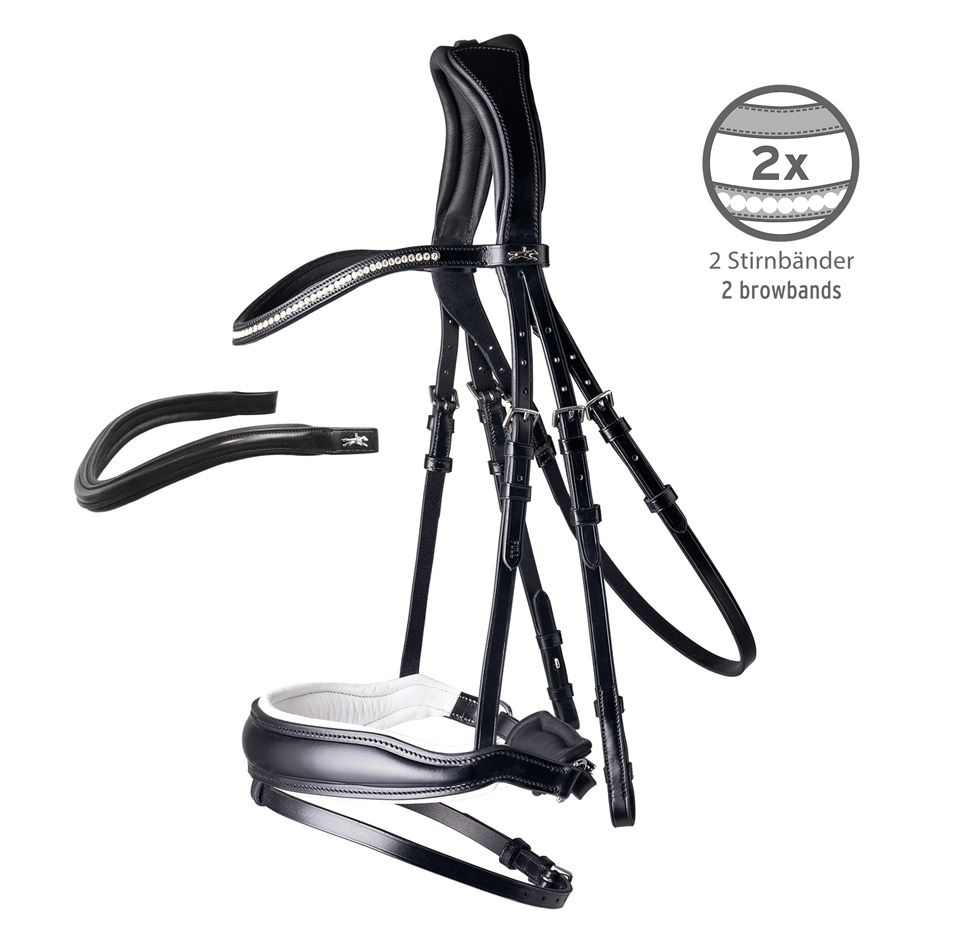 Bridle Stanford