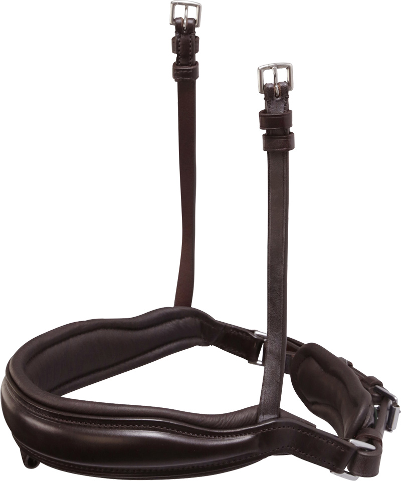 Noseband Stanford
