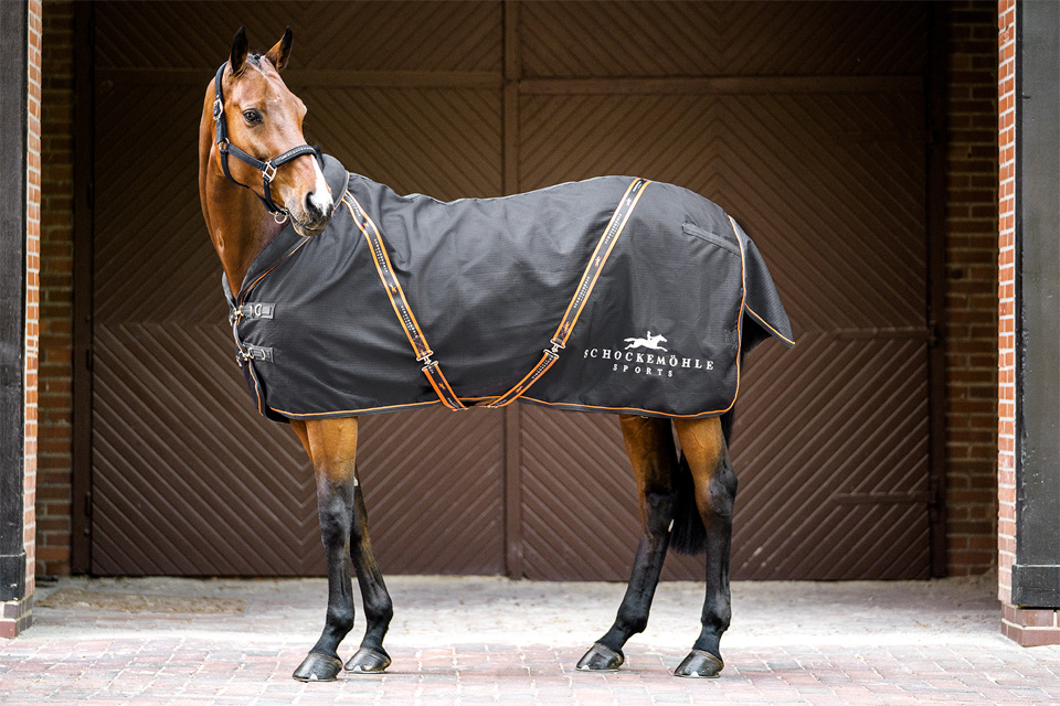 Stable Rug New Summertime