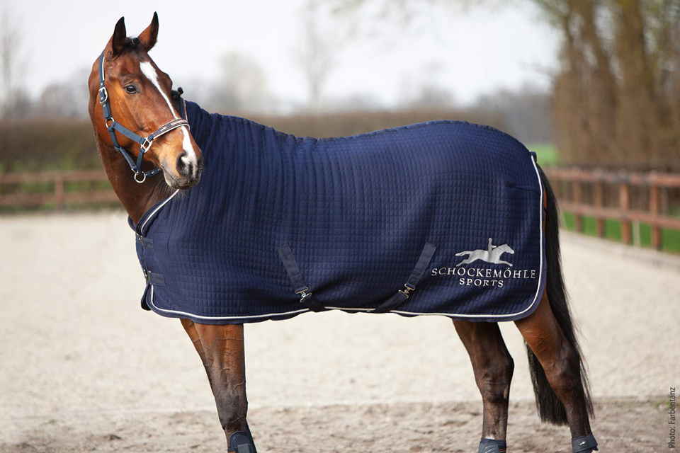 Abschwitzdecke SP New Heat Balance