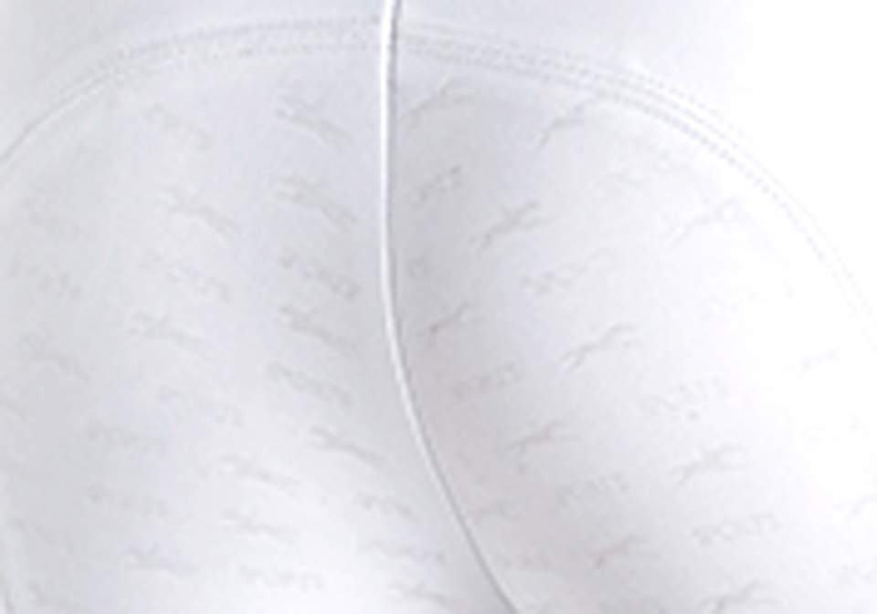 Breeches Hero FS