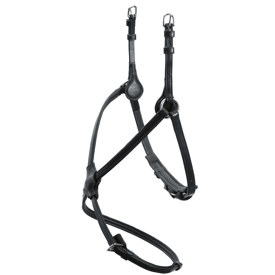 Reithalfter SP Rio Select