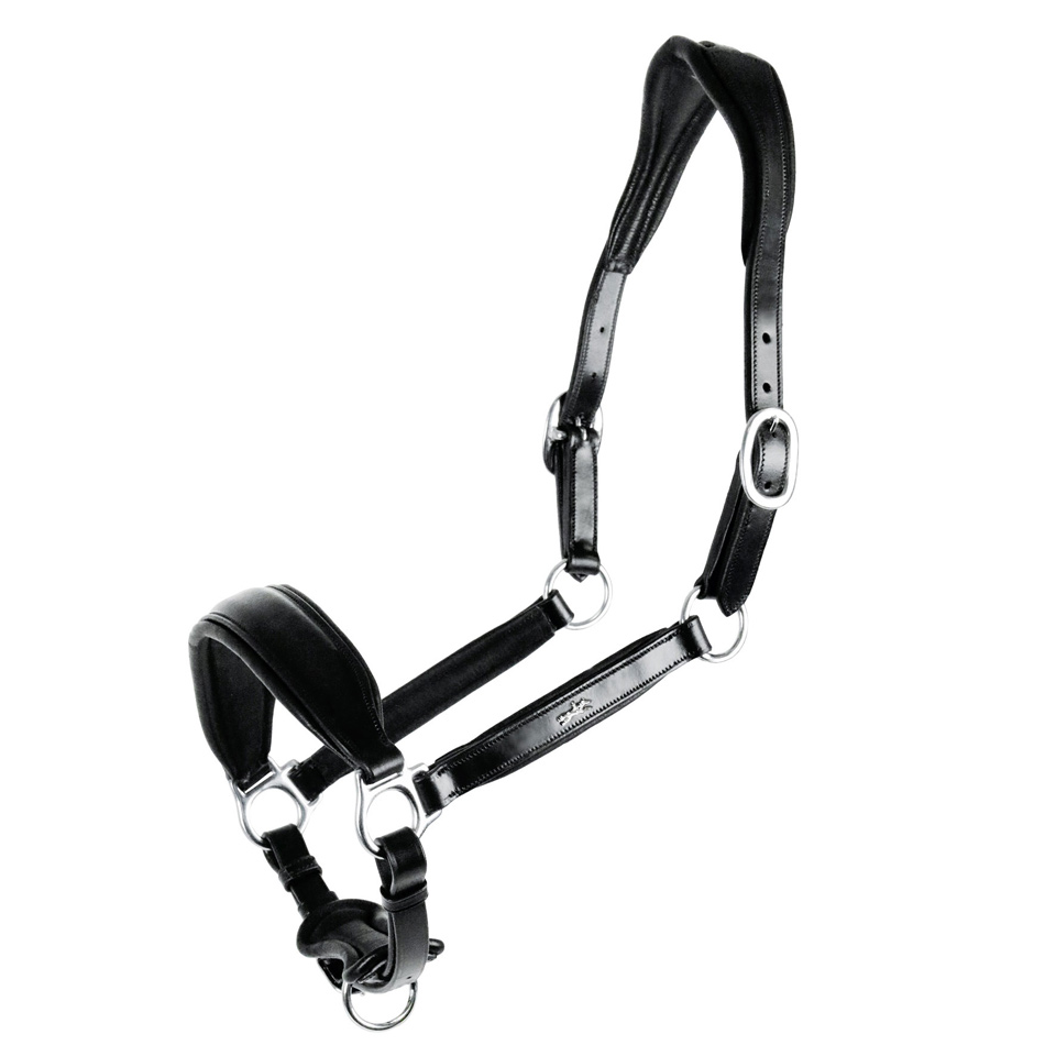 Lederhalfter SP Fremont
