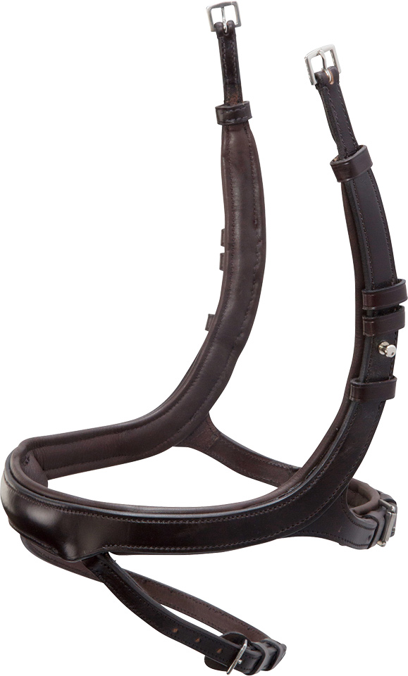 Noseband Equitus Alpha