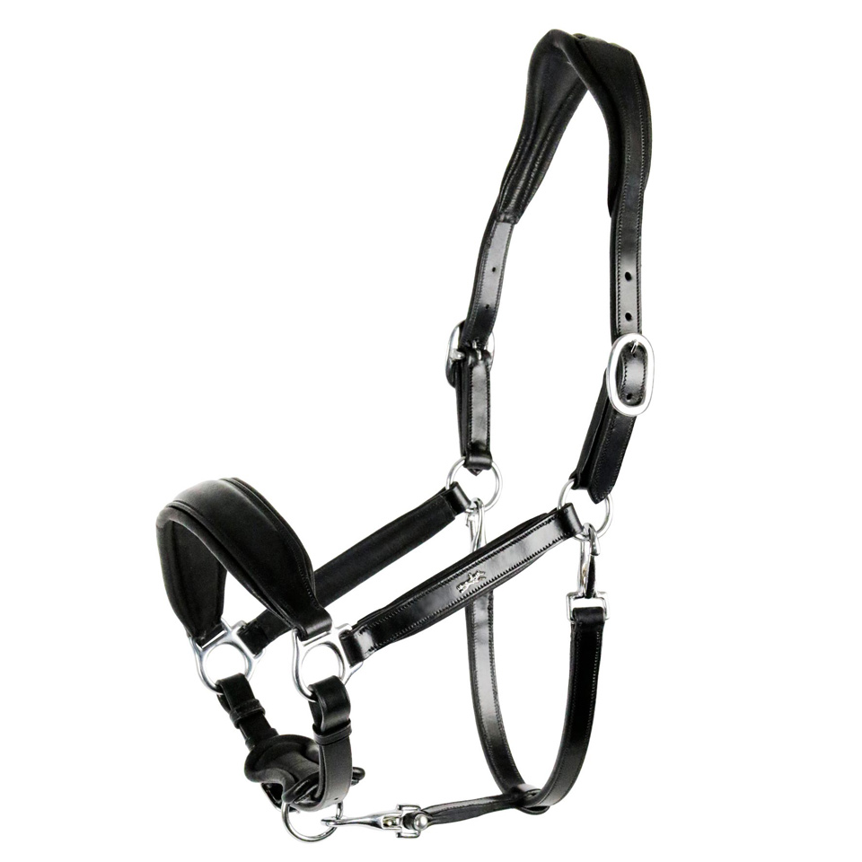 Lederhalfter SP Fremont