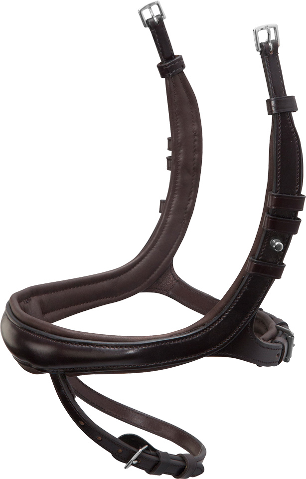 Noseband Equitus Beta