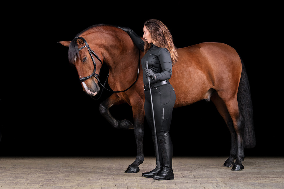 Bridle Equitus Theta