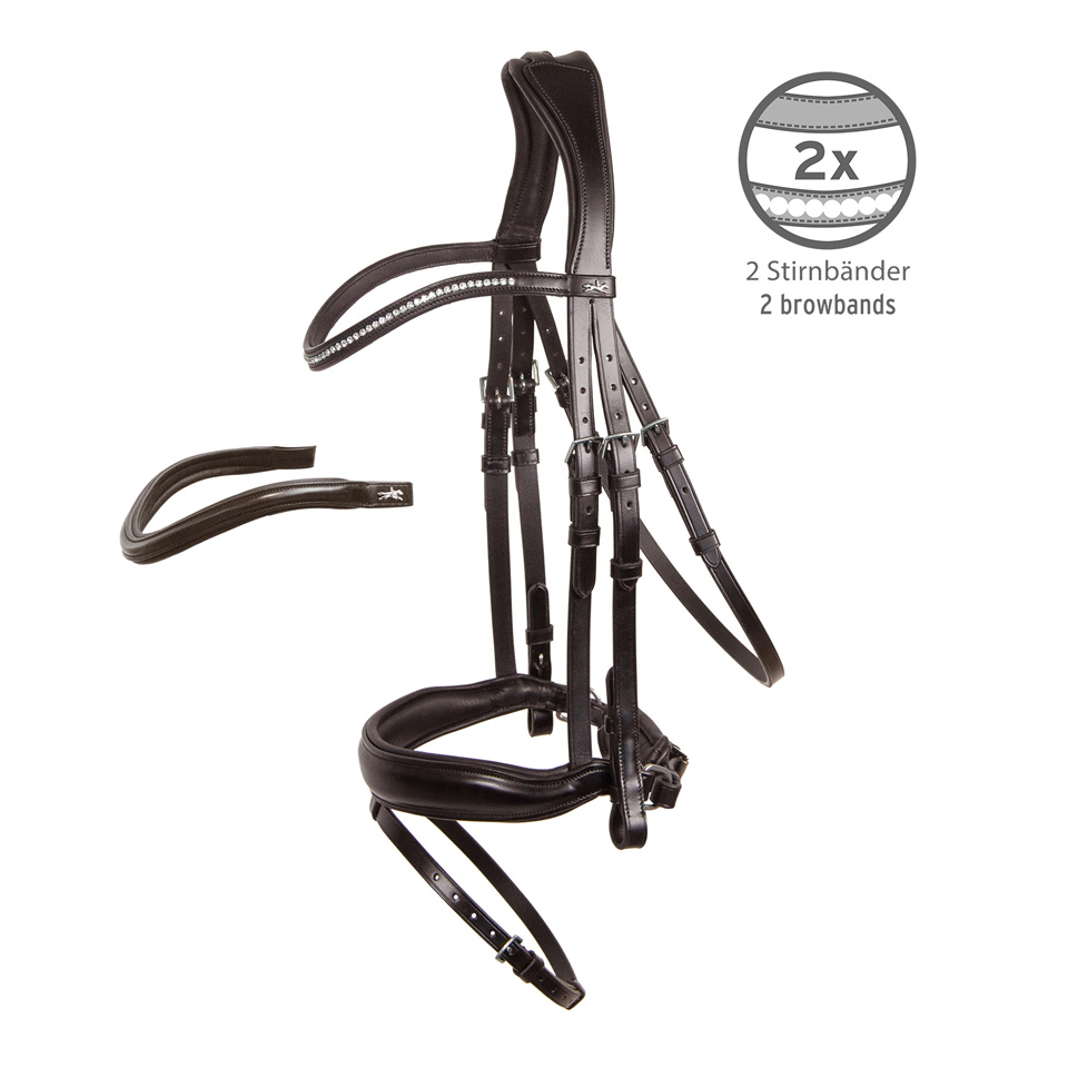 Bridle Stanford Wide
