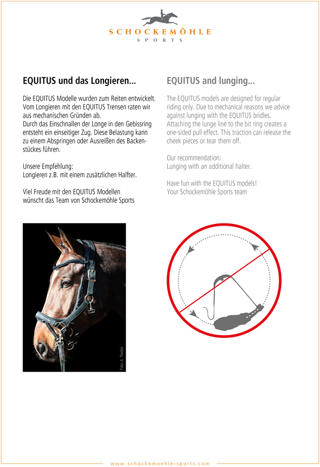 Bridle Equitus Omega