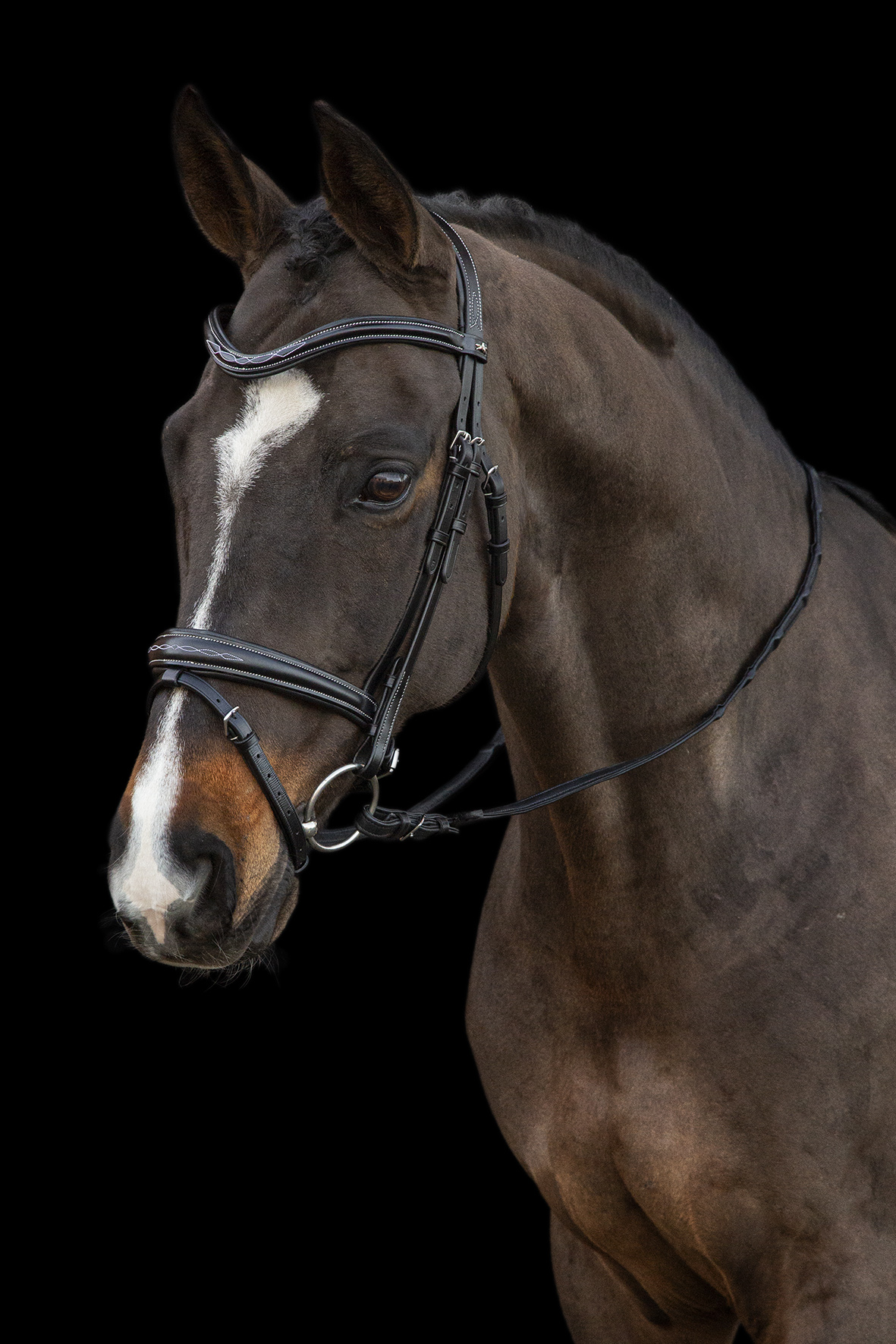 Bridle SP Monza F