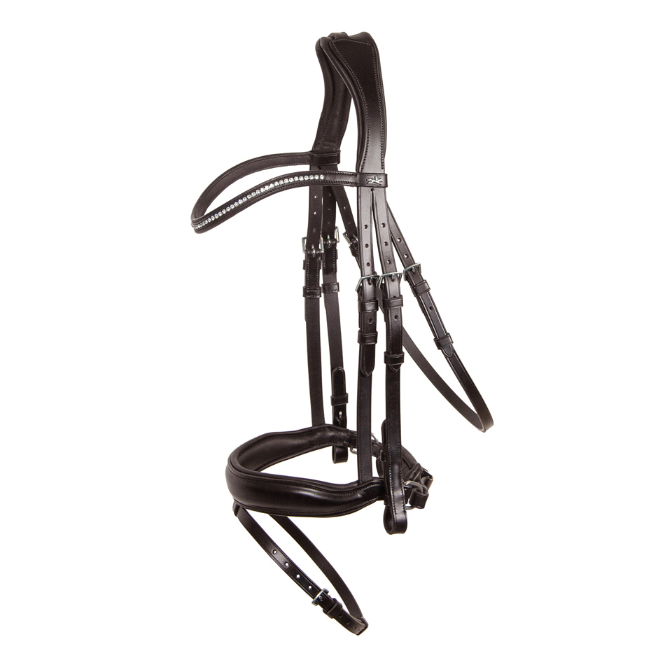 Bridle Stanford Wide