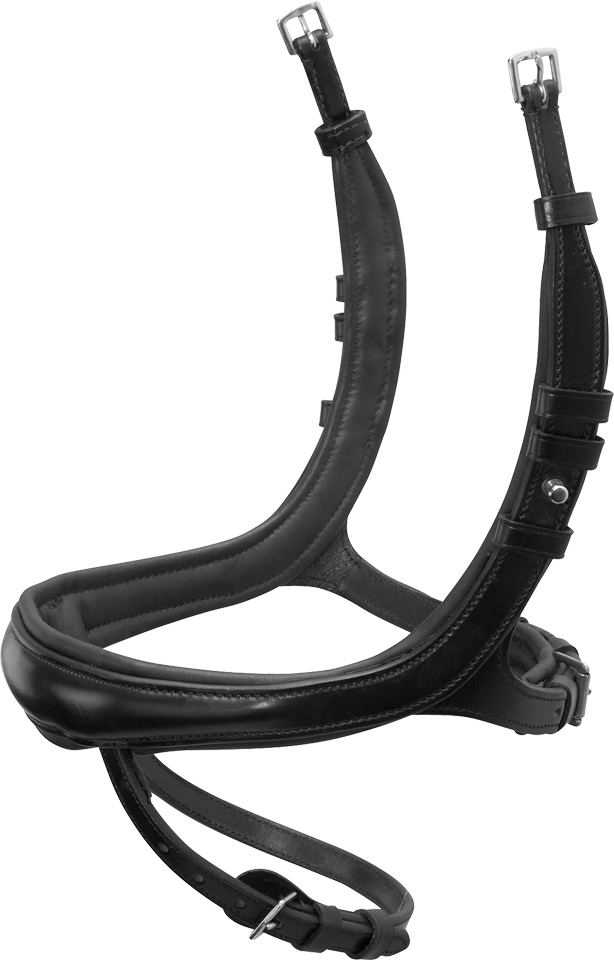 Reithalfter SP Equitus Beta