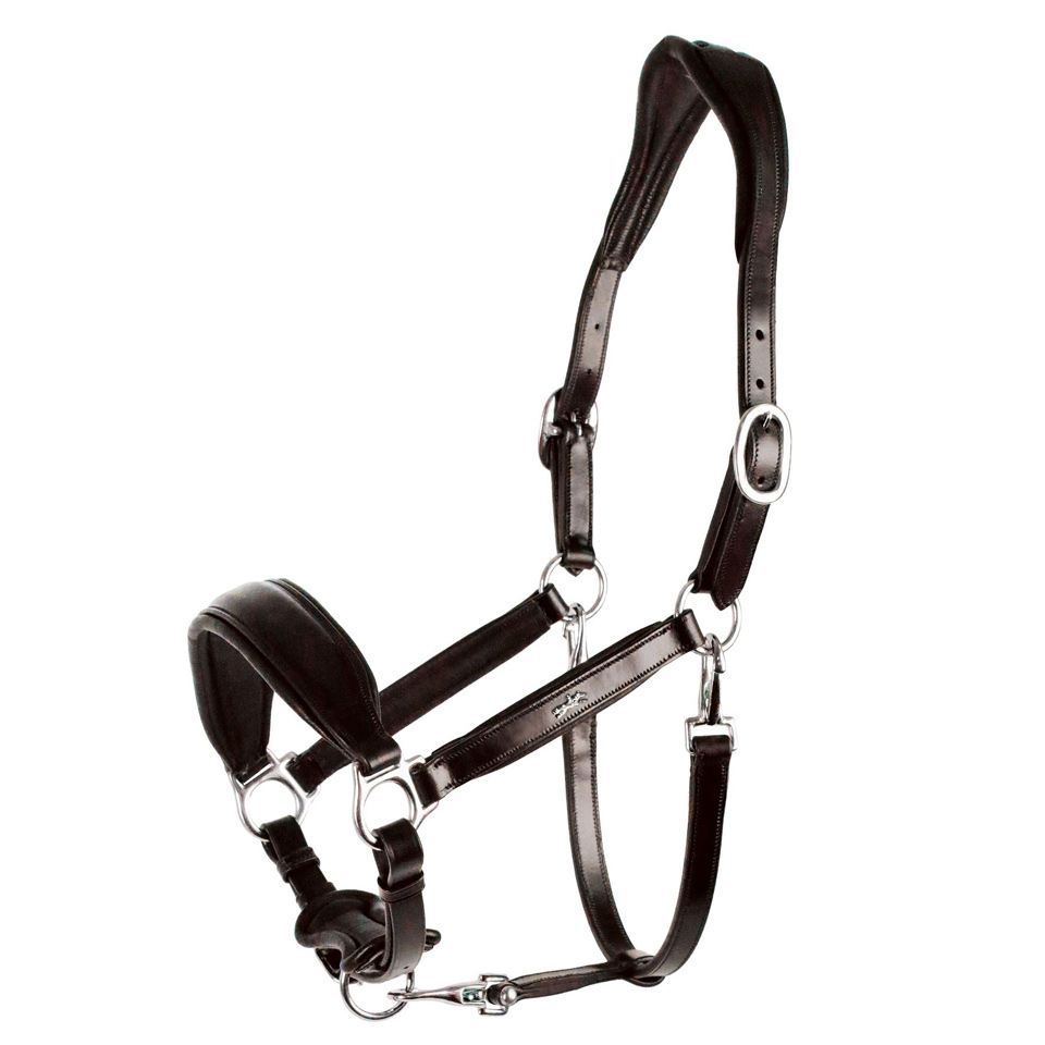 Lederhalfter SP Fremont