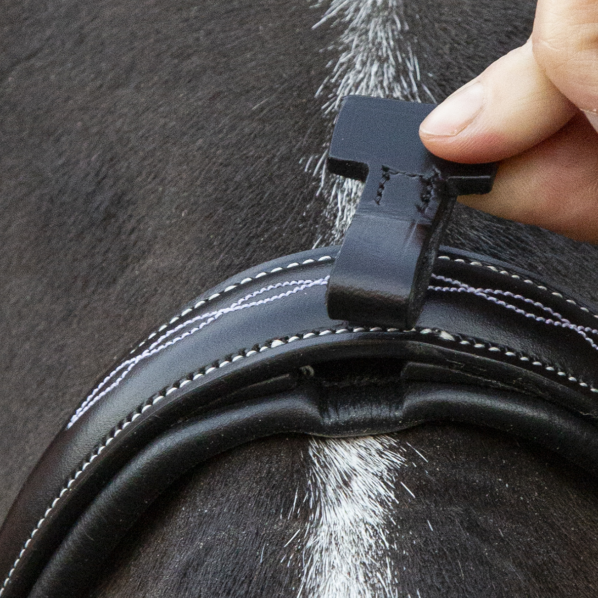 Bridle SP Monza F